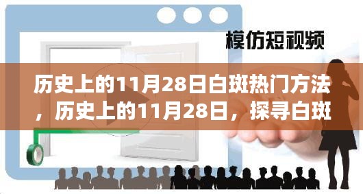 历史上的11月28日白斑探索之旅，美景重塑心灵宁静与平和