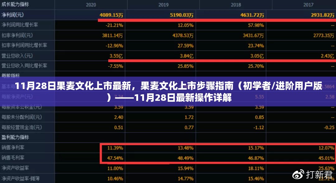 果麦文化上市步骤详解，从初学者到进阶用户的操作指南（最新更新，11月28日）