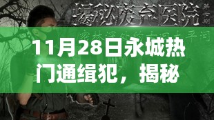 揭秘永城小巷深处的隐藏瑰宝，通缉犯与特色小店的奇遇记