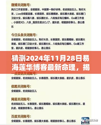 易海莲华博客最新命理预测揭秘，2024年11月28日版展望未来命运走势