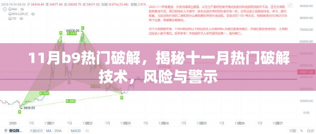 揭秘十一月热门破解技术，风险警示与深度解析