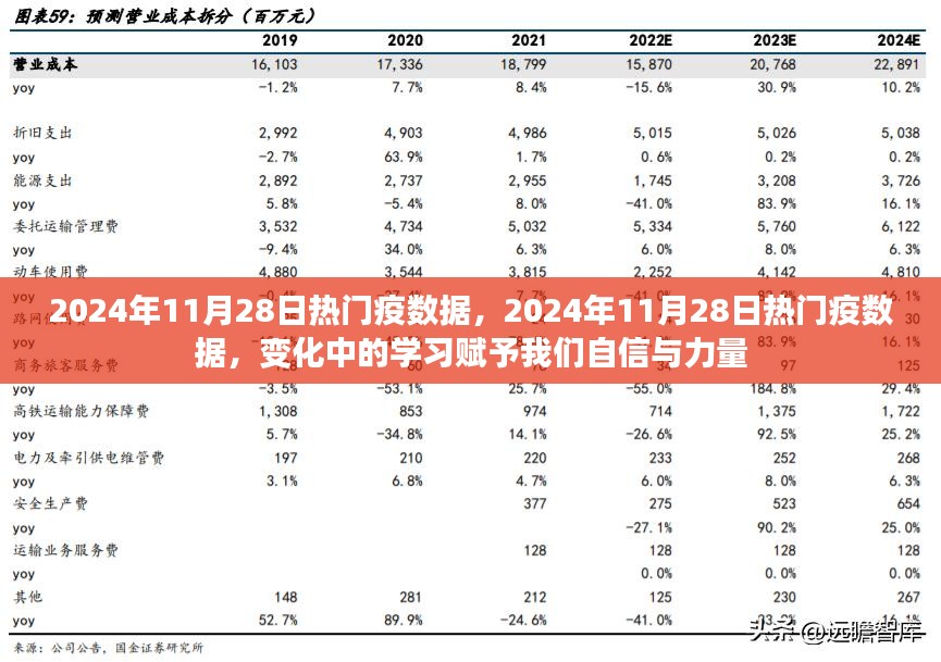 2024年11月28日热门疫情数据，变化中的学习带来自信与力量