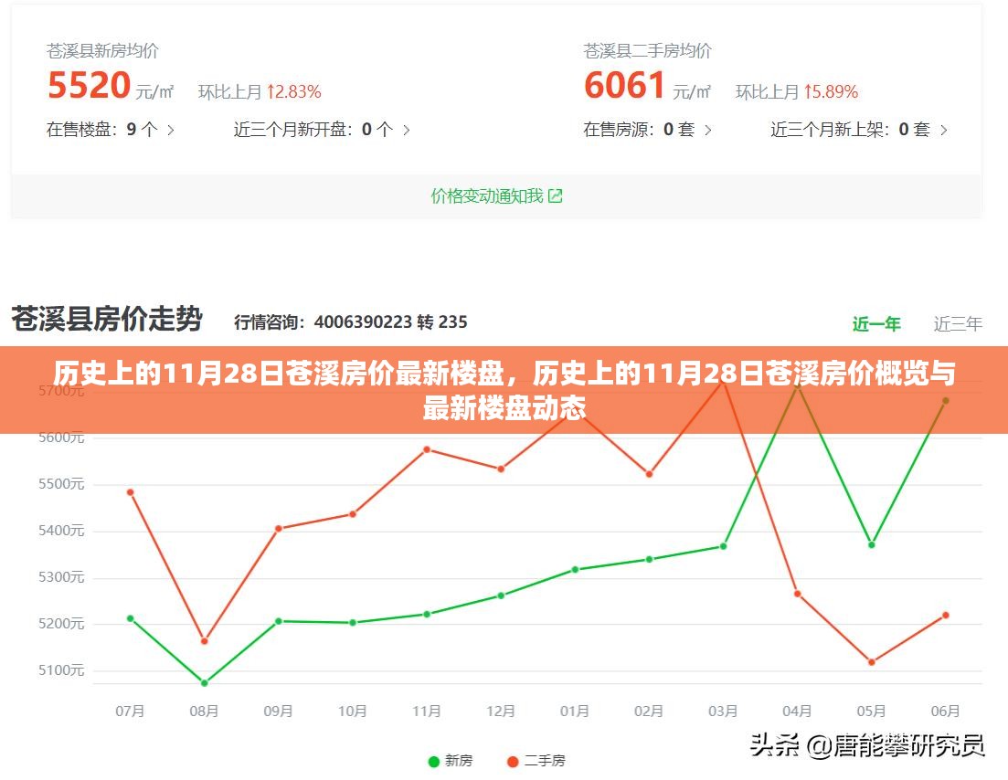 历史上的11月28日苍溪房价概览与最新楼盘动态，回顾与前瞻