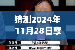 蜕变与自信，林蓉王东新篇章，共赴成长之旅猜测2024年最新章节揭晓