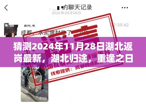 湖北归途，重逢之日的温馨故事与最新返岗动态（猜测2024年11月）