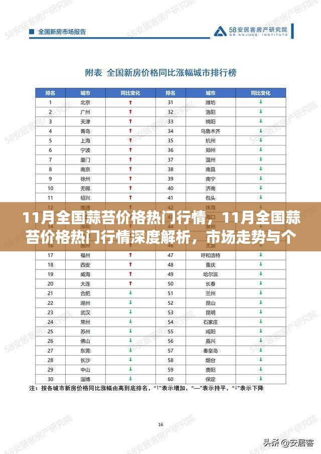 11月全国蒜苔价格深度解析，市场走势与个人立场