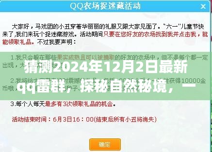 探秘自然秘境，QQ雷群奇妙之旅，寻找内心的平和之地（最新预测2024年12月2日）