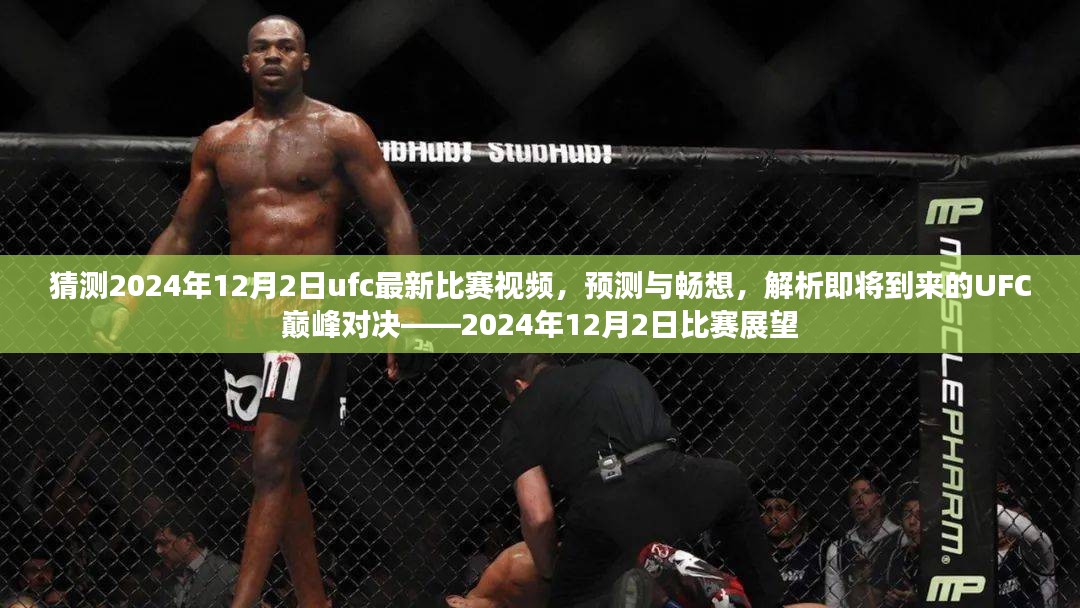 解析与畅想，UFC巅峰对决展望——揭秘2024年12月2日的终极格斗之夜