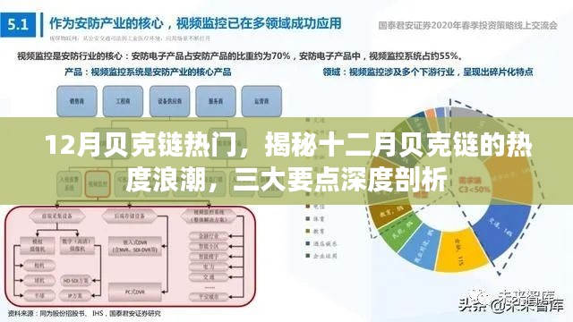 揭秘十二月贝克链热度浪潮，深度剖析三大要点，贝克链引领热潮趋势