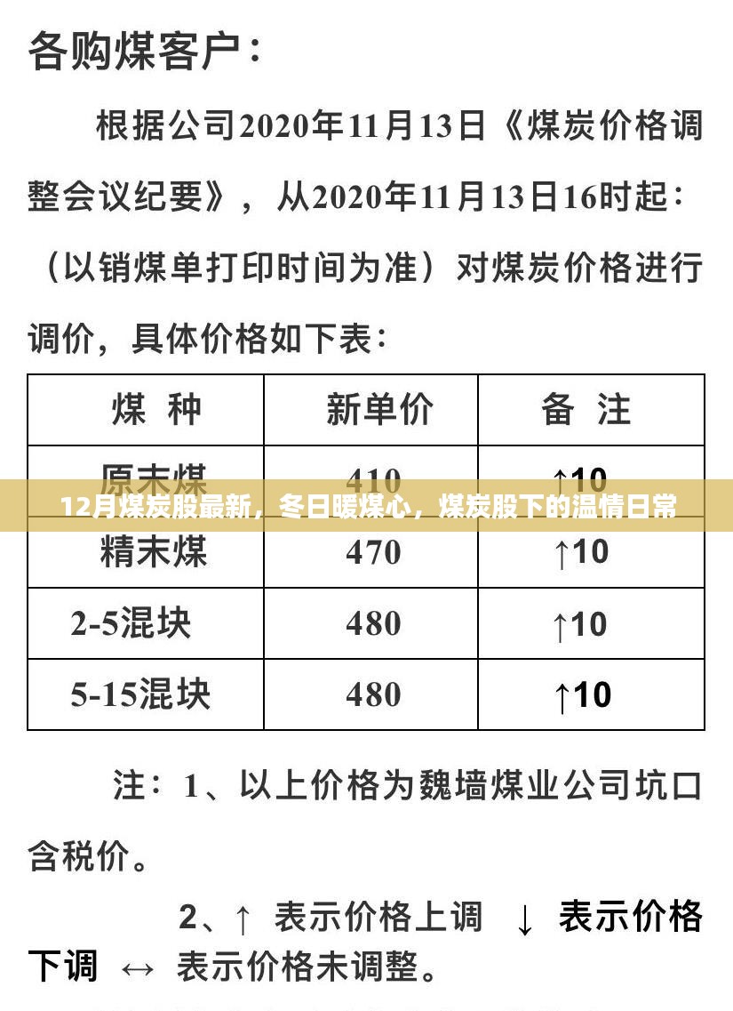 冬日暖煤心，煤炭股最新动态与温情日常