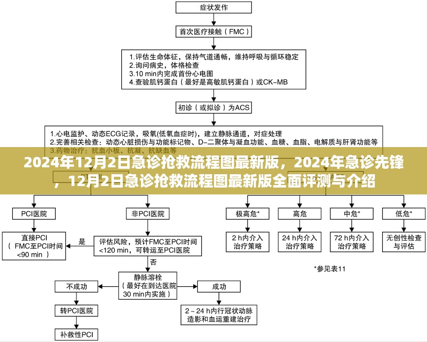 2024年急诊先锋，全面评测与介绍最新版急诊抢救流程图