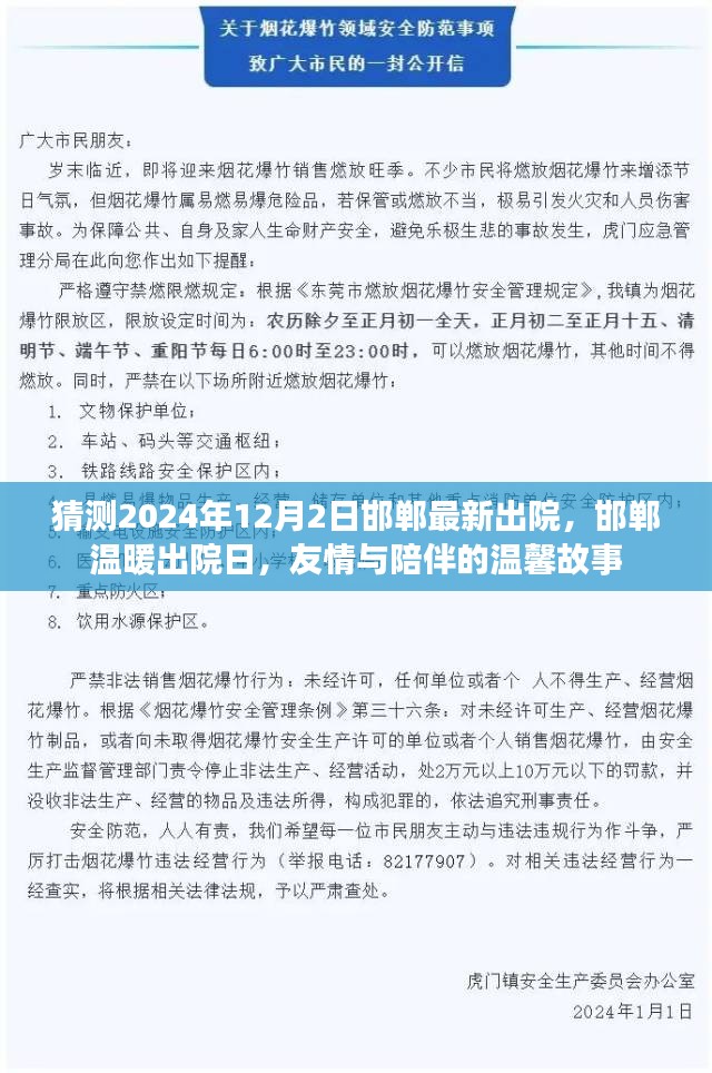 邯郸温暖出院日，友情与陪伴的温馨故事，2024年12月2日最新出院记录