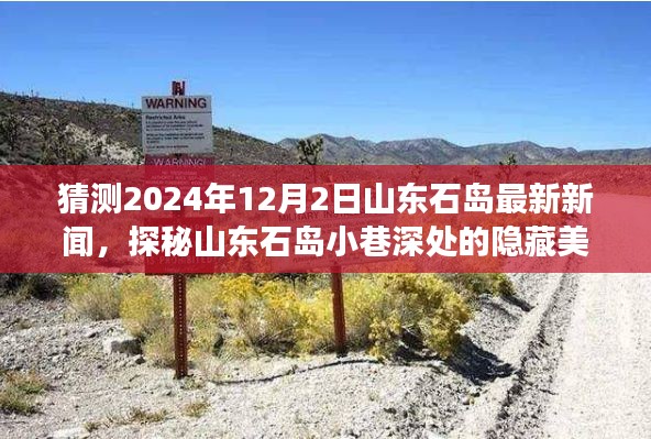 山东石岛探秘美食瑰宝与最新新闻揭秘，2024年12月2日深度报道