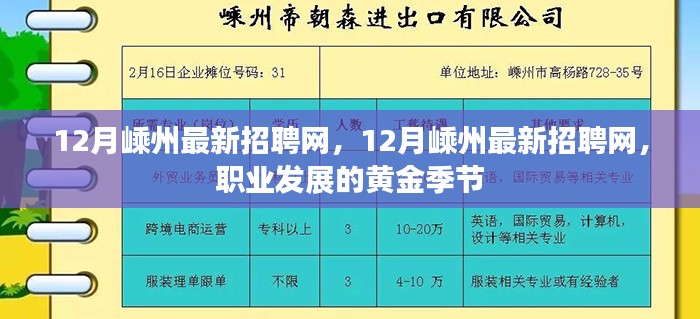 12月嵊州最新招聘网，职业发展的黄金季节