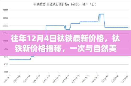 钛铁最新价格揭秘之旅，与自然美景的心灵对话体验