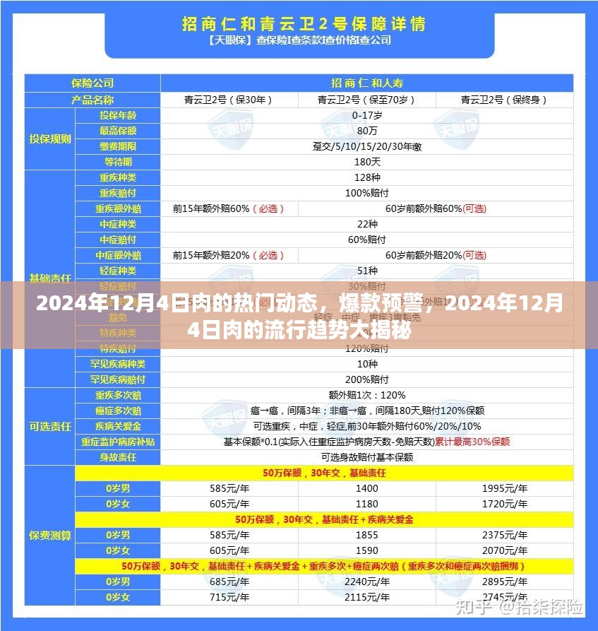 2024年12月4日肉类流行趋势与热门动态揭秘