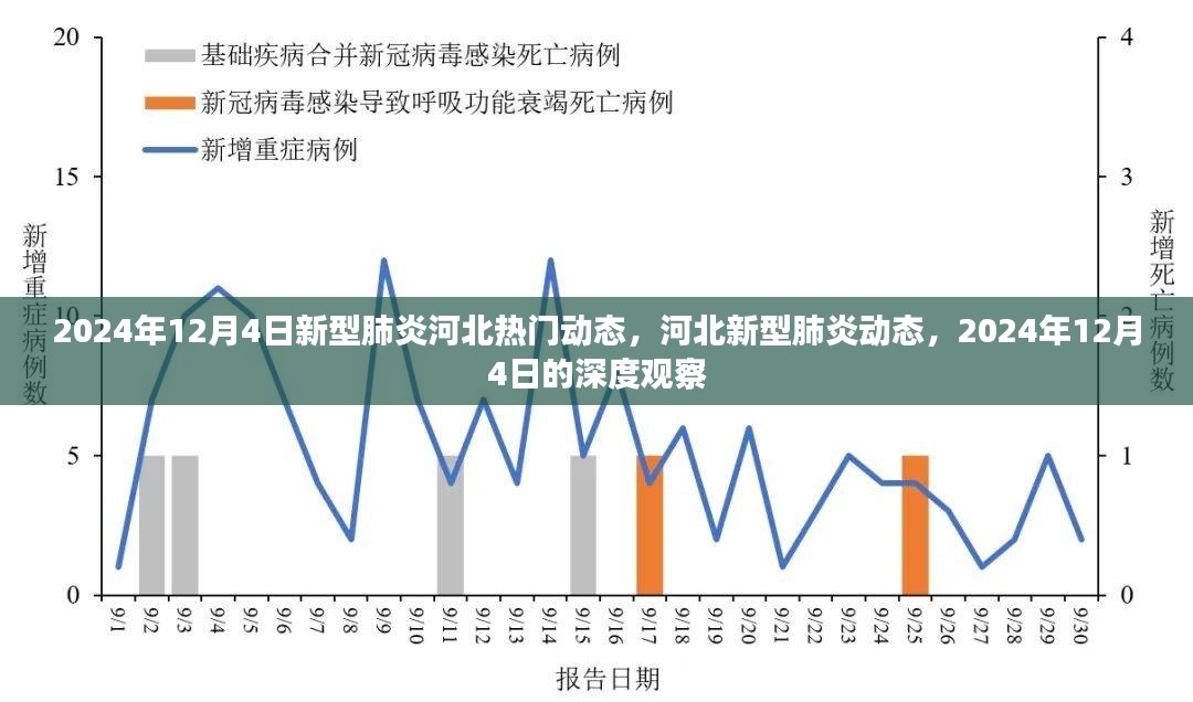 2024年12月4日深度观察，河北新型肺炎动态热门报告