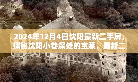 探秘沈阳小巷深处的宝藏，最新二手房与特色小店的奇遇之旅（2024年12月4日）