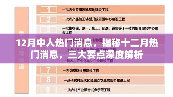 揭秘十二月三大热门消息深度解析要点速递