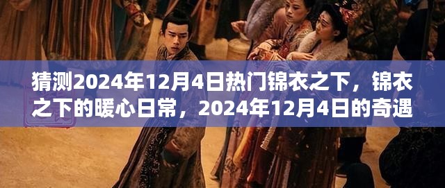 锦衣之下的暖心日常与2024年12月4日的奇遇