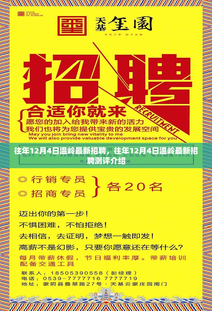 往年12月4日温岭最新招聘信息及测评介绍概览