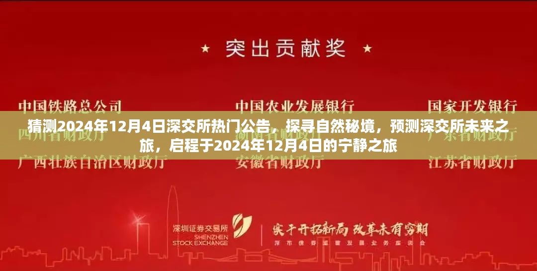 建议，探寻自然秘境，深交所未来之旅启程于宁静的2024年12月4日