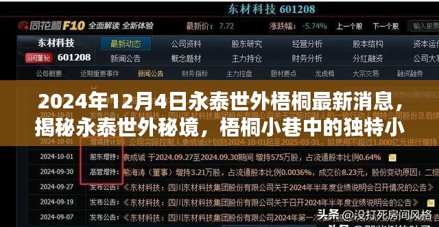 揭秘永泰世外秘境，梧桐小巷的独特小店与最新消息（2024年12月4日）