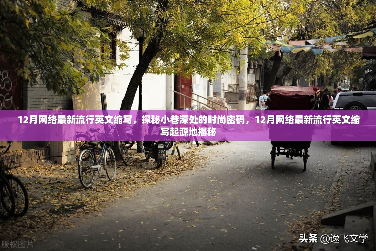 探秘小巷深处的时尚密码，揭秘12月网络最新流行英文缩写的起源与魅力