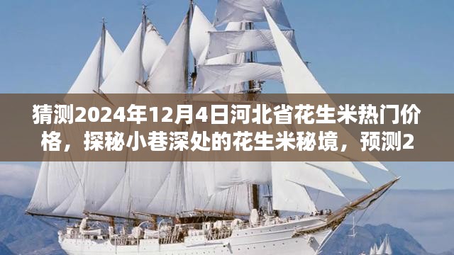 探秘小巷深处的花生米秘境，预测河北省花生米热门价格走势（2024年12月4日）