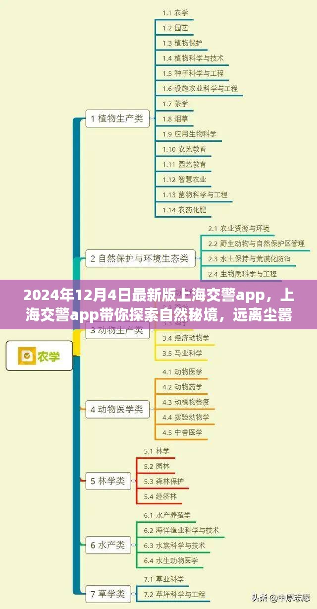 上海交警app 2024最新版，探索自然秘境，心灵宁静之旅