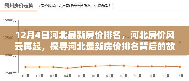 2024年12月6日 第12页