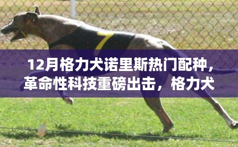 革命性科技引领犬类育种新时代，格力犬诺里斯智能配种系统重磅出击，引领犬类育种新潮流