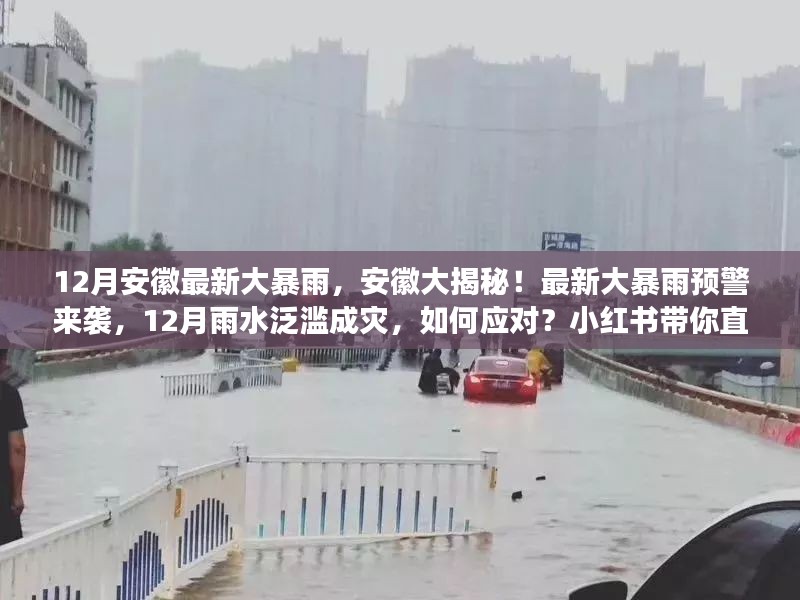 安徽大暴雨预警来袭！如何应对泛滥成灾的雨水？小红书带你直击现场揭秘！