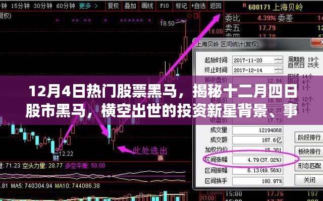 2024年12月6日 第8页