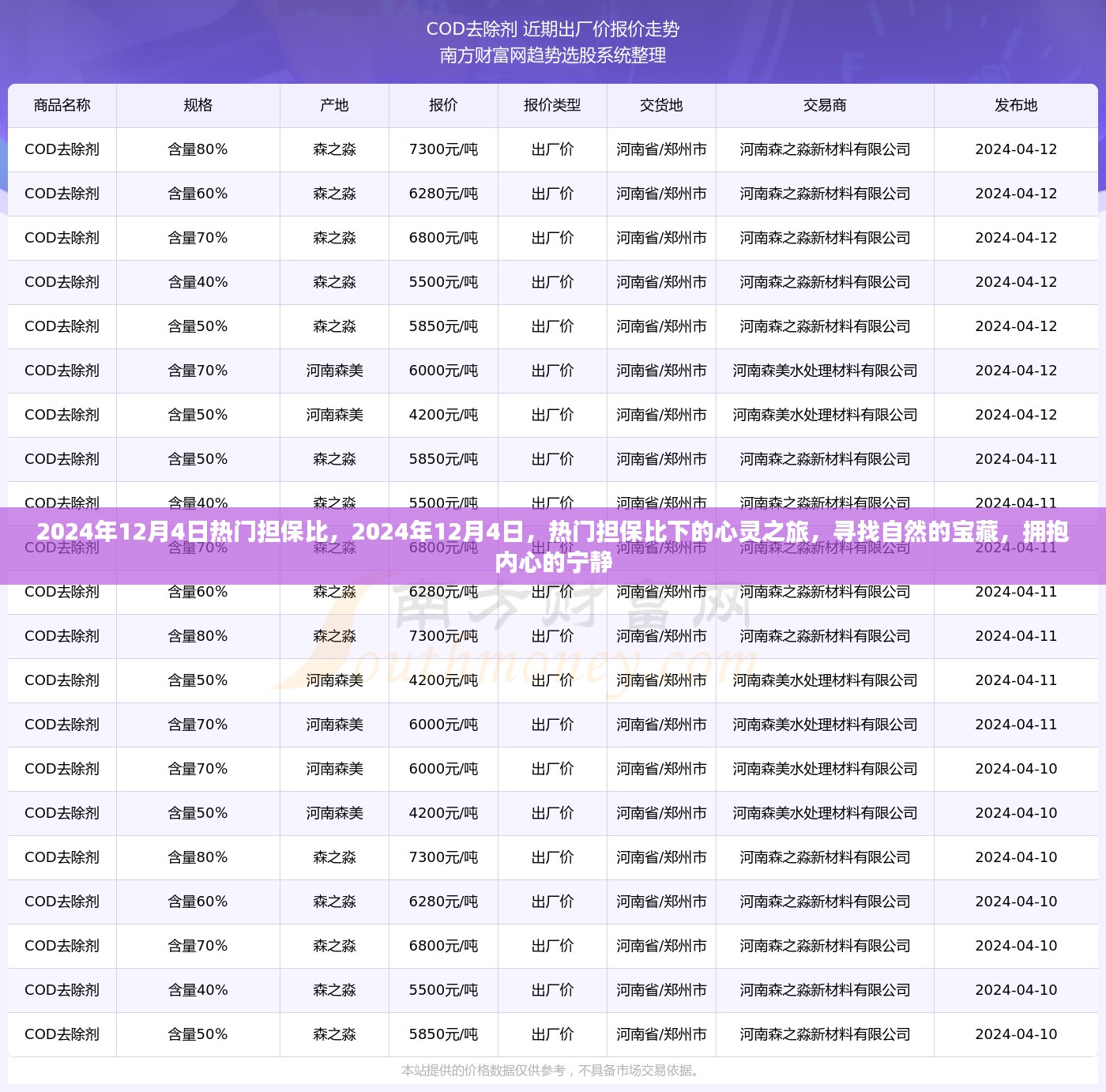 心灵之旅，探寻自然宝藏，拥抱内心宁静——热门担保比下的心灵之旅纪事（2024年12月4日）