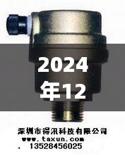 2024年热门排气阀全面评测，详解顶级之选