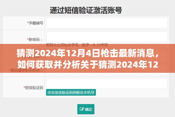 揭秘猜测，关于2024年12月4日枪击事件的最新消息与深度分析指南