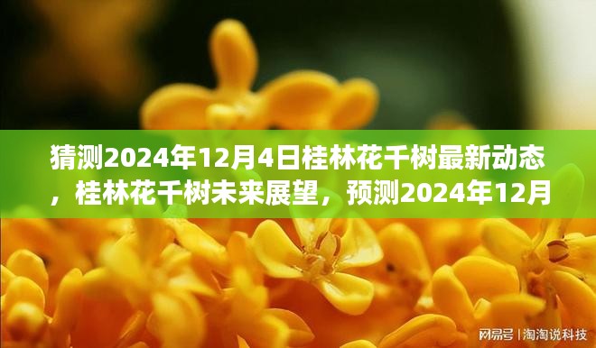 桂林花千树未来展望，预测与评测2024年12月4日的最新动态