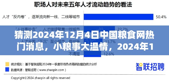 小粮事大温情，粮食网盛宴与家的故事，预测2024年12月4日热门消息