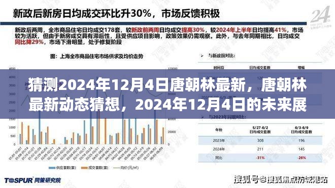 唐朝林最新动态猜想与展望，2024年12月4日的未来展望揭秘