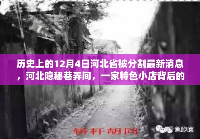 河北隐秘巷弄间，特色小店背后的历史变迁与独特风情揭秘（最新消息）