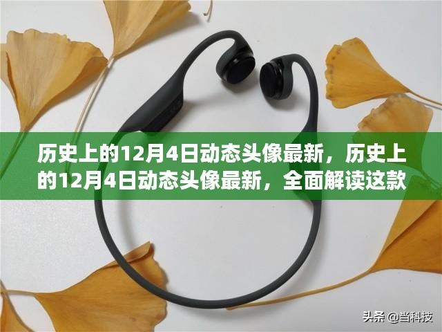 历史上的12月4日动态头像最新解析，特性、体验与竞品对比