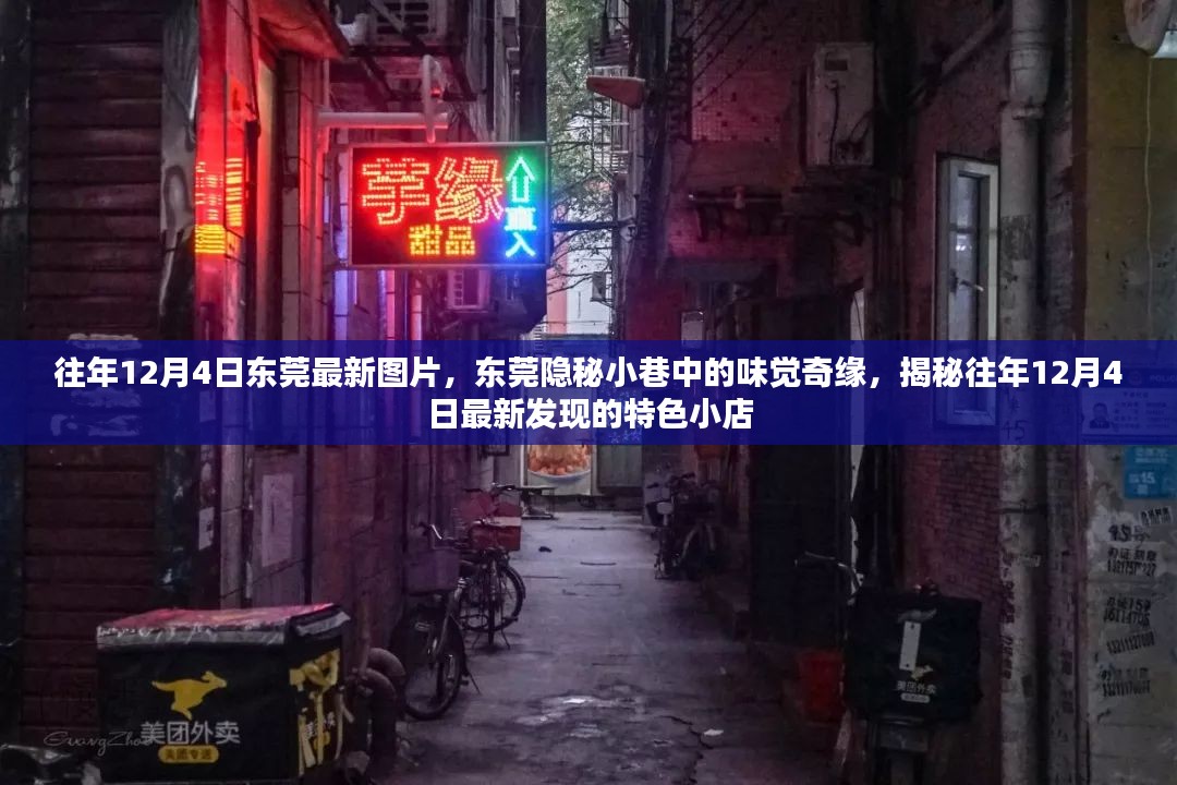 揭秘东莞隐秘小巷的特色小店，往年12月4日最新发现与味觉奇缘图片分享