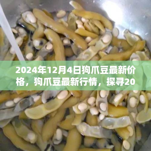 2024年12月4日狗爪豆行情分析，最新价格与价值脉络探寻