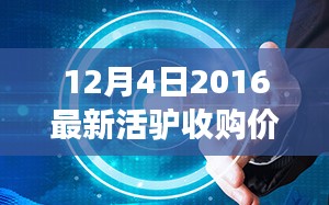 2016年12月4日活驴收购价格揭秘，市场趋势与最新动态