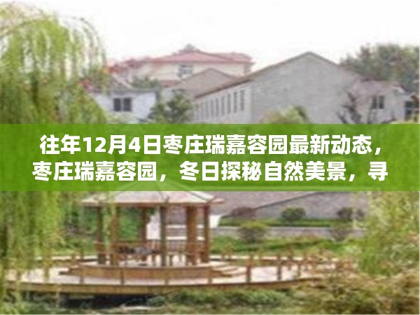 枣庄瑞嘉容园冬日探秘，最新动态与宁静绿洲体验