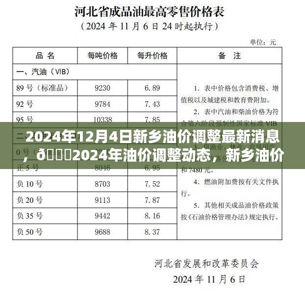 2024年12月8日 第31页