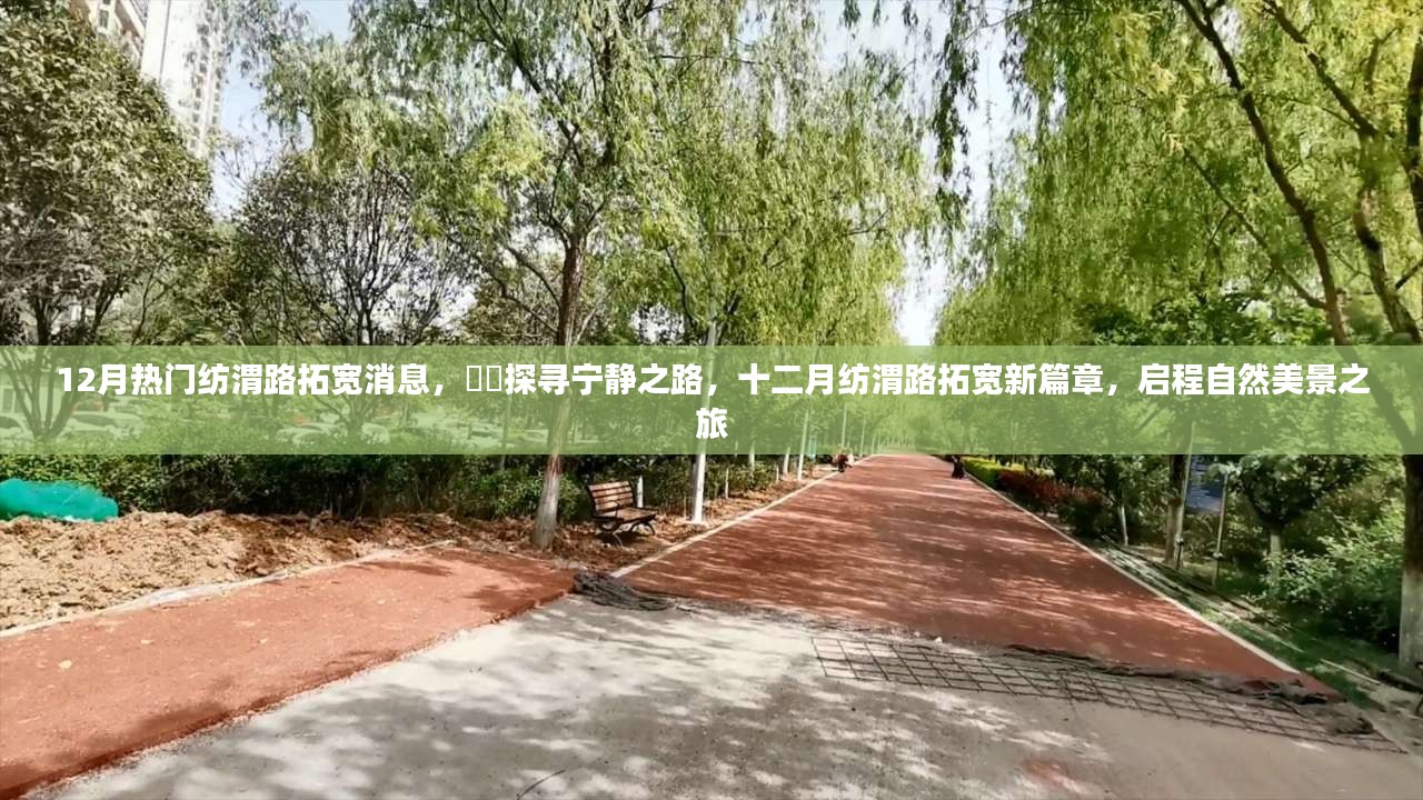 十二月纺渭路拓宽新进展，探寻宁静之路，启程自然美景之旅