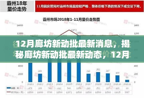 揭秘廊坊新动批动态，全方位指南带您洞悉最新消息