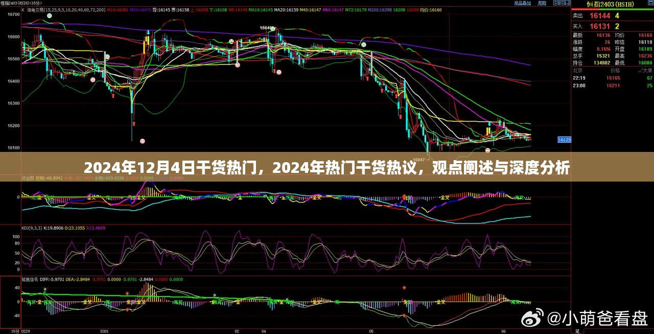 2024年热门干货深度解析，观点阐述与热议